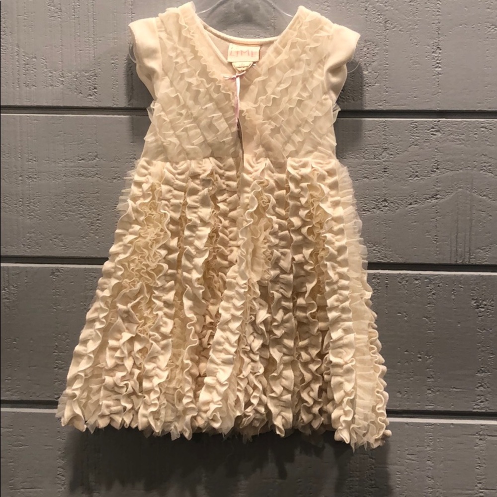 New Lemon Loves Like Ivory Velour Tulle Dress